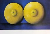lemon tits